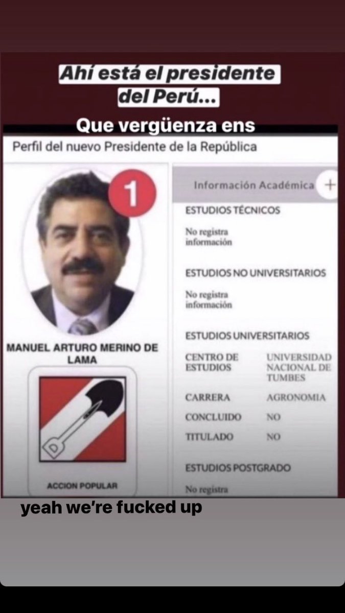 the actual president, Merino, doesn’t have any kind of studies on how to be the president, as he didn’t even finished university (with a career that has nothing to do with politics: agriculture)