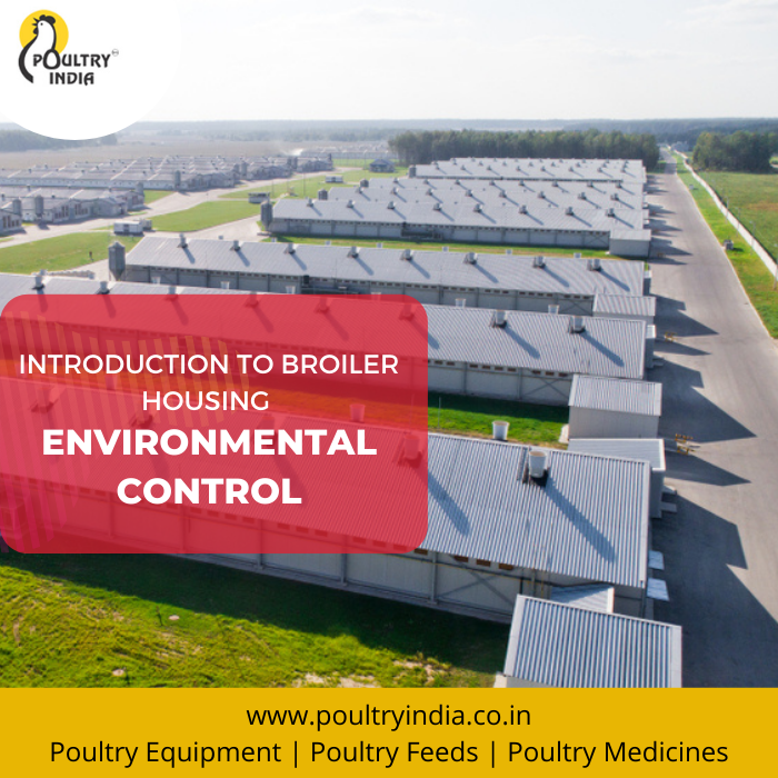 PoultryIndia15's tweet photo. The fast growing, modern broiler lines need proper environmental conditions for production growth
.
Read - https://t.co/HYLwqf0o6V
.
#PoultryIndia #PoultryFarming #PoultryFarm #ECHousing https://t.co/owt2961I10