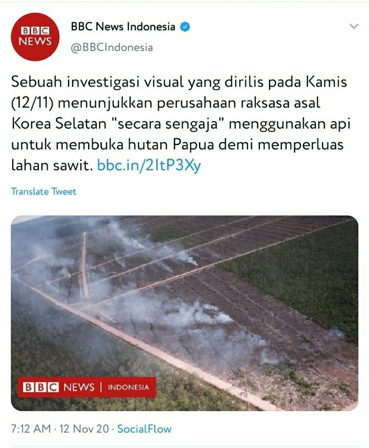 hamntrcnt4's tweet photo. AVA BOLEH KOREA TAPI HATI TETAP INDONESIA!!🇮🇩

ayo guys naikin ht nya
#SavePapuaForest https://t.co/lZrYhvpDNH