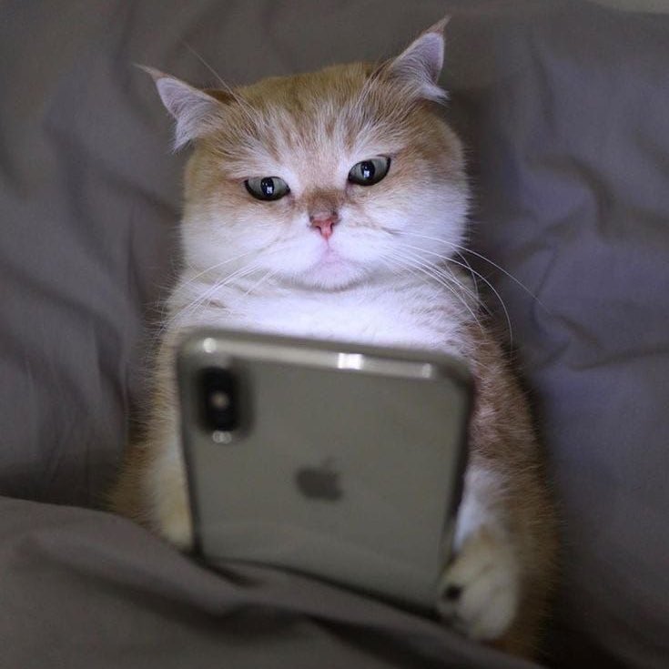 bbigkachu's tweet photo. ถ้าได้ 5G มาแล้วจะ���ำอะไรก่อน 

รีทวิต: ดูซีรี่ย์ทั้งวัน
หัวใจ: เล่นเกมทั้งวัน

ทำ2อย่างพร้อมกันเลยละกัน 5555555
#iPhone12OnFastestAIS5G https://t.co/1JjD2Q4BRp