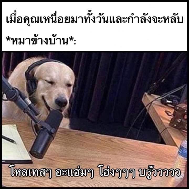 แข 🏳️🌈 tweet media