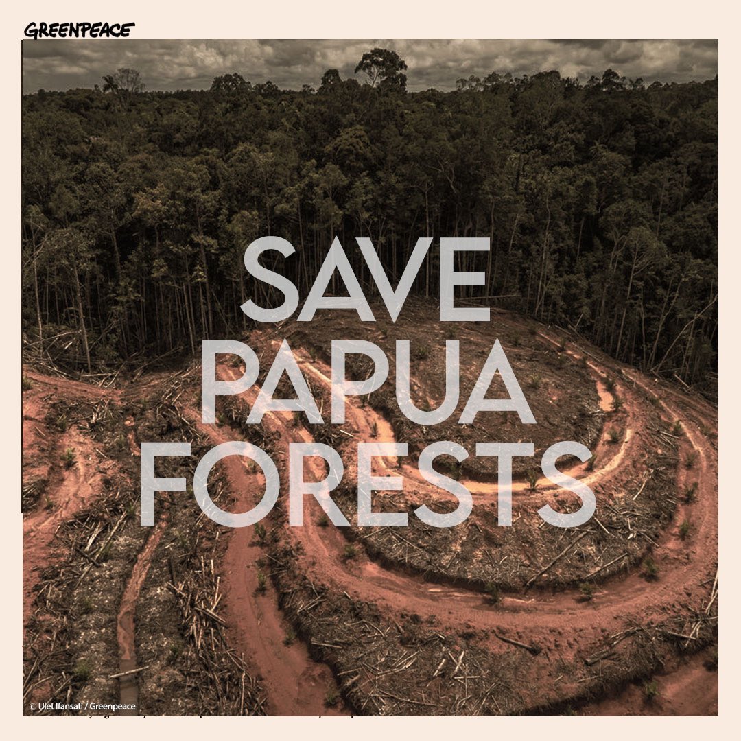 hamntrcnt4's tweet photo. AVA BOLEH KOREA TAPI HATI TETAP INDONESIA!!🇮🇩

ayo guys naikin ht nya
#SavePapuaForest https://t.co/lZrYhvpDNH