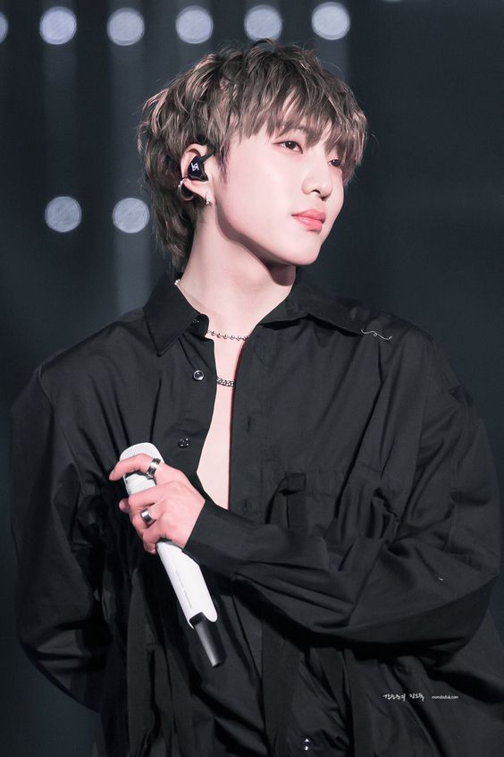 Winner is another small group (four members) where I literally bias half of them, Hoony and Yoon, who is on my top tier list of favorite vocalists.