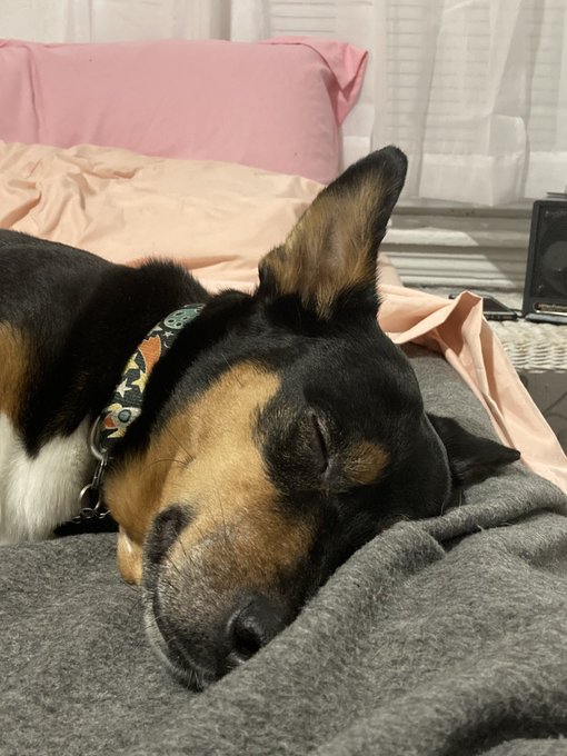 @demonslut_ https://t.co/ilHng6fTYf<a class="tags" target="_blank" title="On Twitter" href="/?out=eyJ0eXAiOiJKV1QiLCJhbGciOiJIUzUxMiJ9.eyJpYXQiOjE3MjQzMTExMjQsImlzcyI6InR3cG9ybnN0YXJzLmNvbSIsIm5iZiI6MTcyNDMxMTEyNCwiZXhwIjoxNzU1ODQ3MTI0LCJyZWRpcmVjdF91cmwiOiJodHRwczovL3R3aXR0ZXIuY29tL2RlbW9uc2x1dF8ifQ.wHc9DZbaSRkZNNrqN5dLqp1VZtEpKnvD3zBETOF7ljP2gveb-zGlrNd0h1j1nQCcmBJtr9MOJAhqR8KvSjG4pQ">@demonslut_</a>