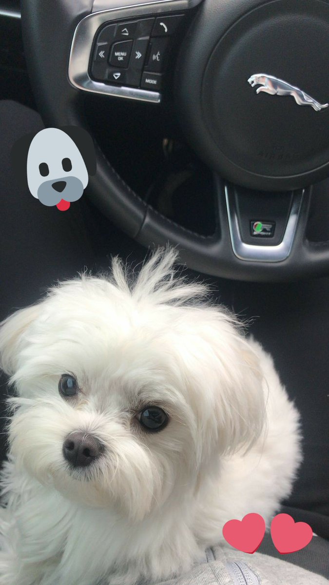 diazclau3's tweet photo. I Am Not Impressed By Money Social Status Or Job Title .I Am Impressed By The Way Someone Treats Other Human Beings!Be The Reason Someone Believes In The Goodness Of People!Every Act Of Kindness Is A Little Bit Of Love We Leave Behind!😇🤩👱‍♀️👑🐶💞💘🖤💖💕 https://t.co/wENQ93TMCX