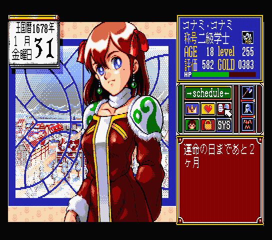 プリンセスメーカー MSX2 MSX2+ マイクロキャビン 3.5インチ プリンセスメーカー MSX2 MSX2+ マイクロキャビン 3.5インチ