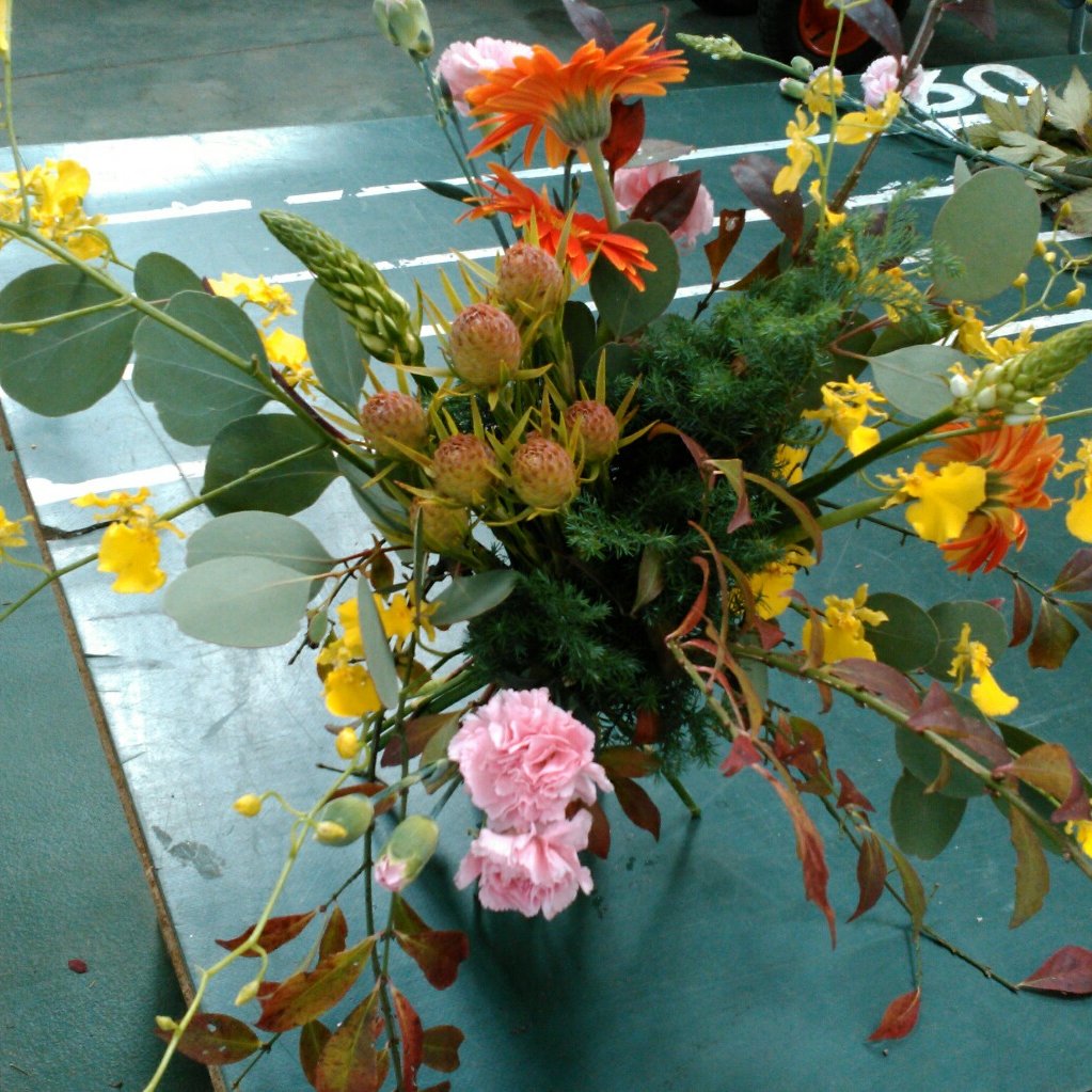 鉢物 緑花木専攻