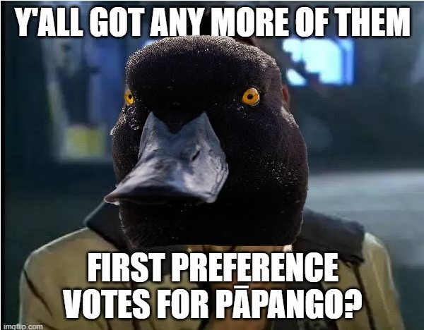 NzScaup's tweet photo. how about it New Zealand? @AllBlacks @FlyAirNZ @radionz @Hilary_Barry @lorde @TheSpinoffTV @NZClarke @JohnJCampbell @jacindaardern @_chloeswarbrick @Forest_and_Bird @PureQueenstown @TwoPaddocks @TaikaWaititi  #BirdOfTheYear  #pickthepāpango https://t.co/EHn09Gqk9K