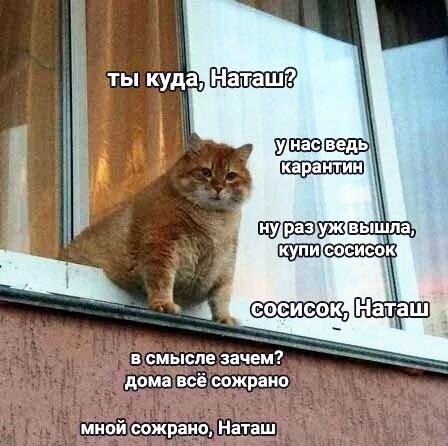 С днем рождения сосиски кстате.