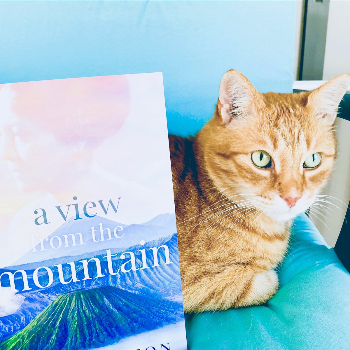 Alex Dalton tweet media