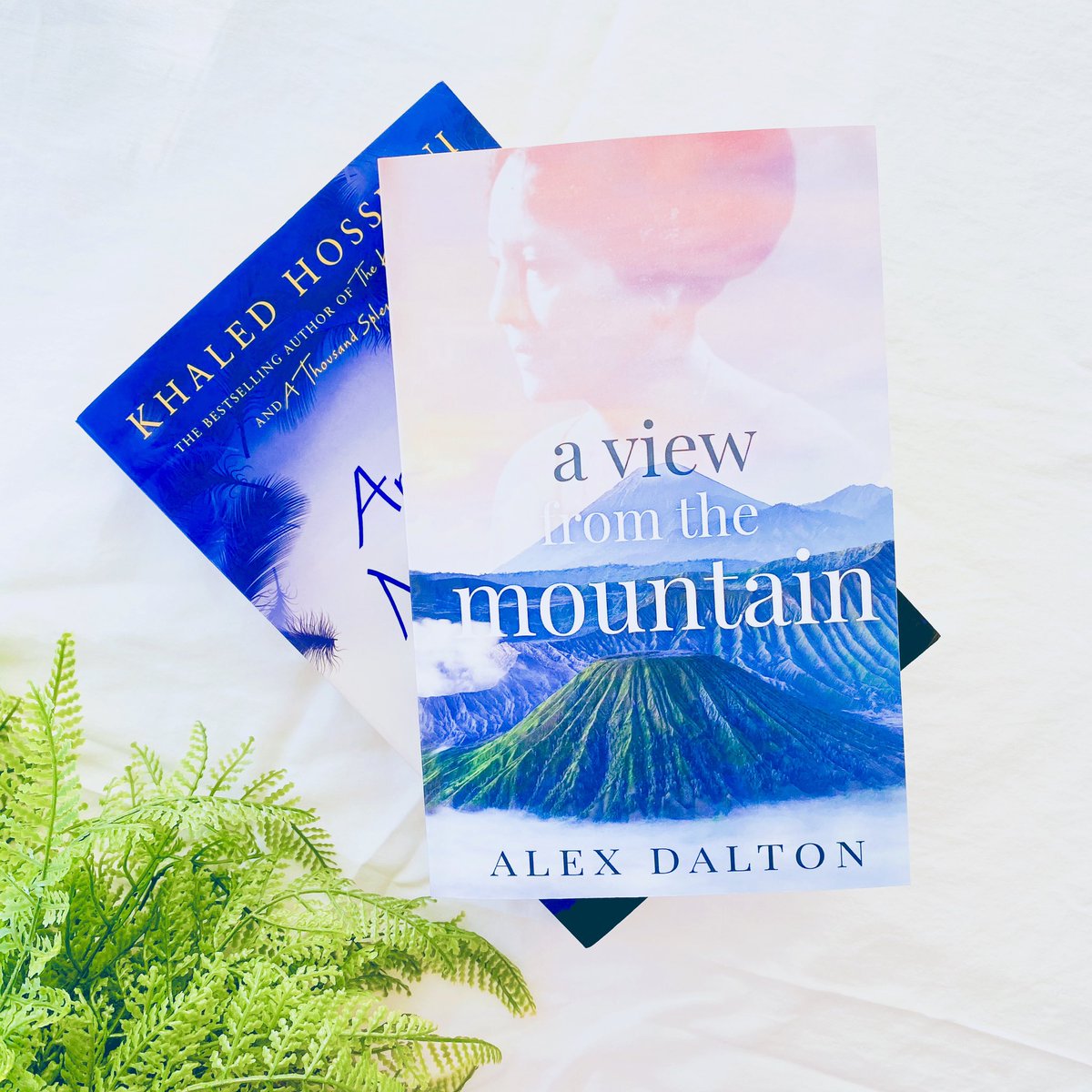 Alex Dalton tweet media