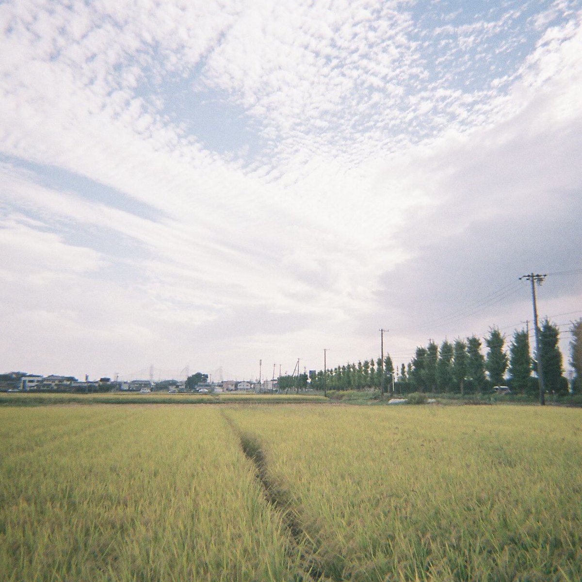 photo_ck's tweet photo. お久しぶりです。
Kodak M35を買いました。
フィルムで撮るなんでもない景色が、なんとなく好きです
#ファインダー越しの私の世界 https://t.co/wpoQlsRGkq