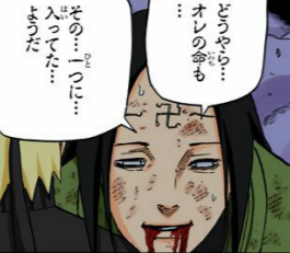 漫画 アニメ名言bot En Twitter ヒナタ様は お前の為なら死ぬ だから お前の命は一つじゃない どうやらオレの命も その一つに入ってた ようだ 日向ネジ Naruto 1234