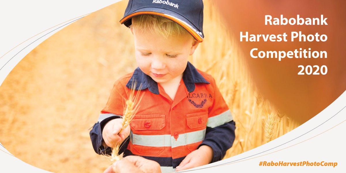 Rabobank Australia tweet media