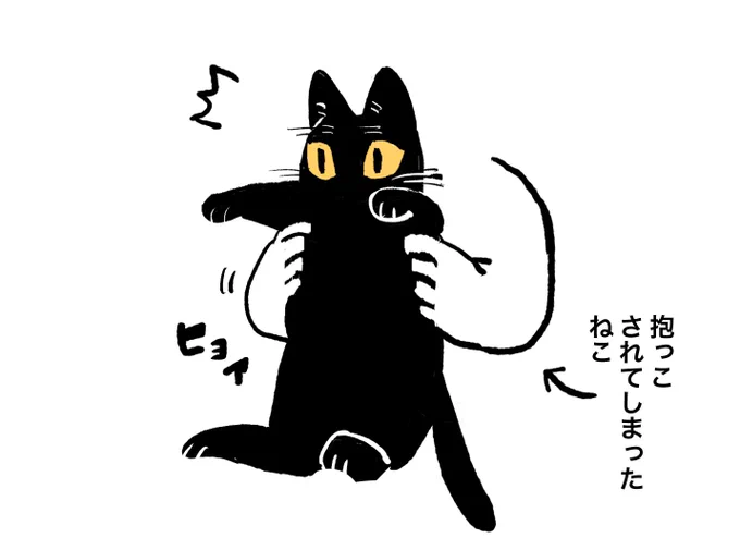 複雑なねこ 