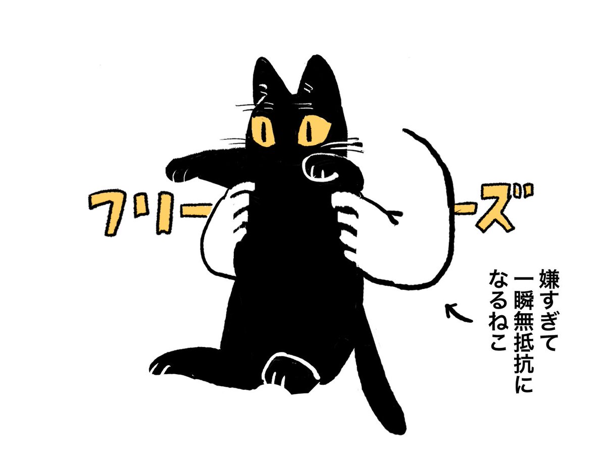 複雑なねこ 