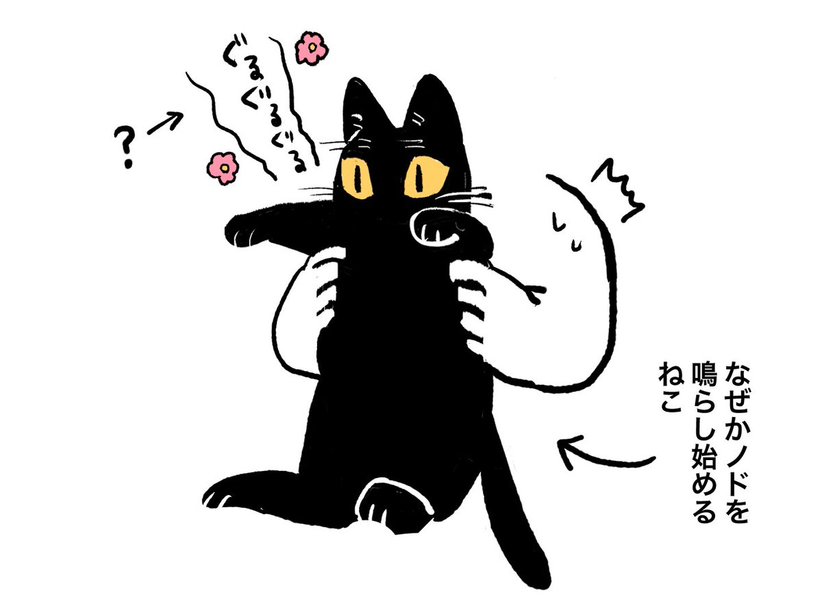 複雑なねこ 