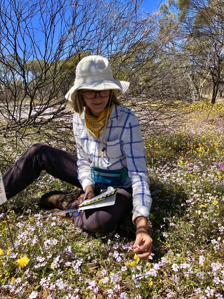 SCB_SEQ's tweet photo. Meet me! I’m Cath, the social media rep 🤓 I’m a PhD student, researching how ecological modelling could help improve restoration decisions and the management of invasive species and ultimately reduce the uncertainty around management outcomes in magical WA 🌸 https://t.co/YviT79qjGH