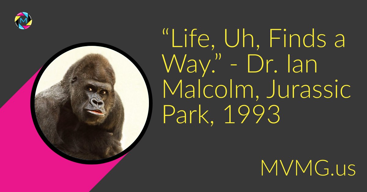 TeamMultiverse's tweet photo. FACT: Dr. Malcom was referring to your business. Oh, and be sure to wash your hands before you eat anything.

#businesstips #gorillamarketing #businesswebsite #corporatewebsitedesign #corporatewebsite #startuplife #teammultiverse #mvmg #believeinyourself #franchiselife https://t.co/N6atqE4pVJ