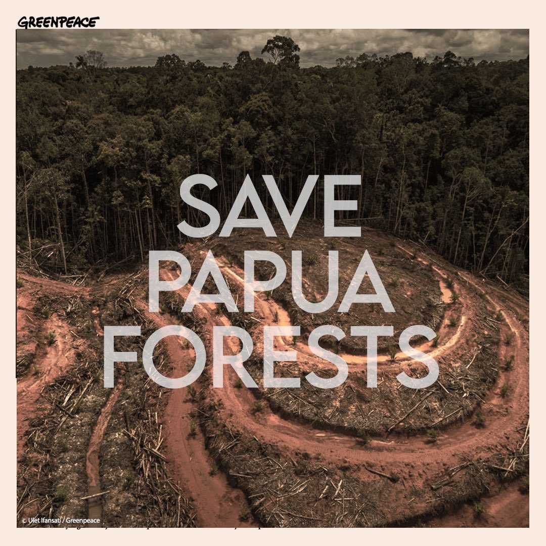 This is our natural resources. 
We love forest, and we love Papua.

#SaveHutanPapua
#savepapua
#SavePapuaForest
#SaveHutanIndonesia