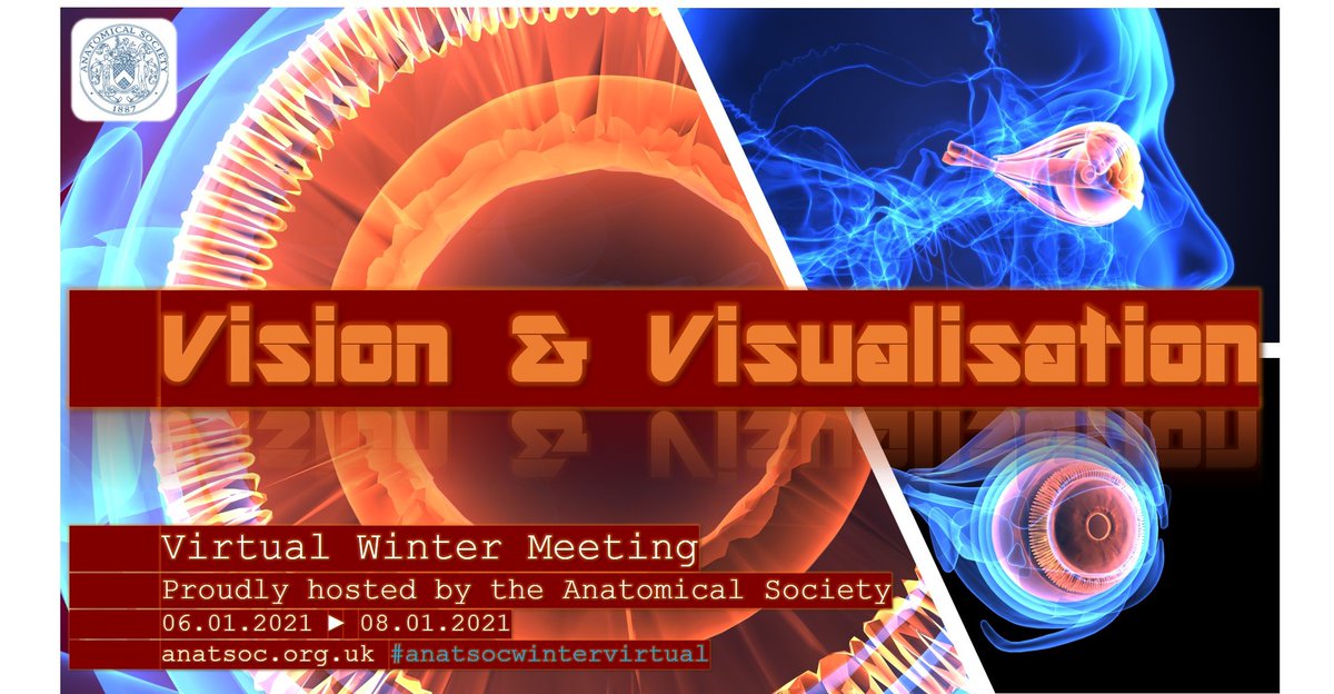 anat_soc's tweet photo. PRE-CONFERENCE VIRTUAL WORKSHOP 

Anatomy Observation and Drawing with @leonard_shapiro 

Tuesday 5th January 2021
FREE Registration
Open only to Virtual Conference Delegates

More information and workshop registration here: https://t.co/4QP0c94Kg5

#anatsocwintervirtual https://t.co/T7nJzkm9GX