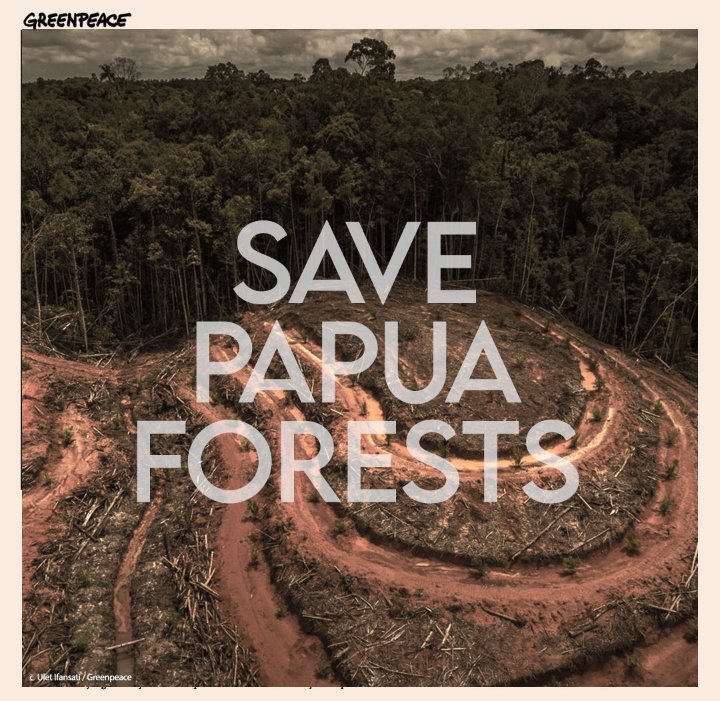 vanillaachan's tweet photo. me as a kpop fan. honestly i was disappointed, i have no words. but i'm sure we can rise. we love u-! 💗🔥.
#SavePapuaForest 
#SaveHutanPapua https://t.co/UAiFyAbFKi