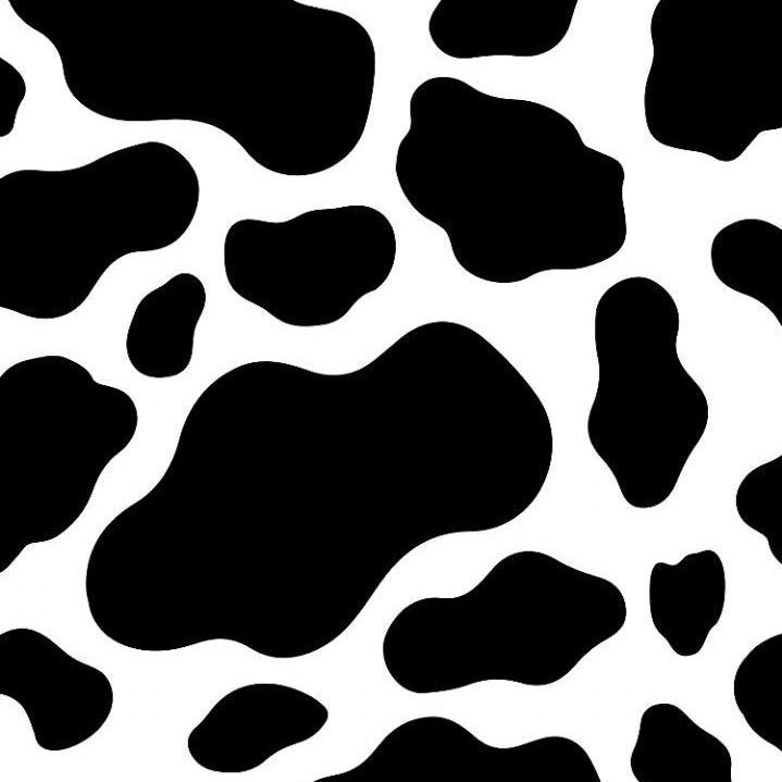 Yahoo, Cutie chan long time no see ✌🏻 

ยพท ลฟตท 🐄❕