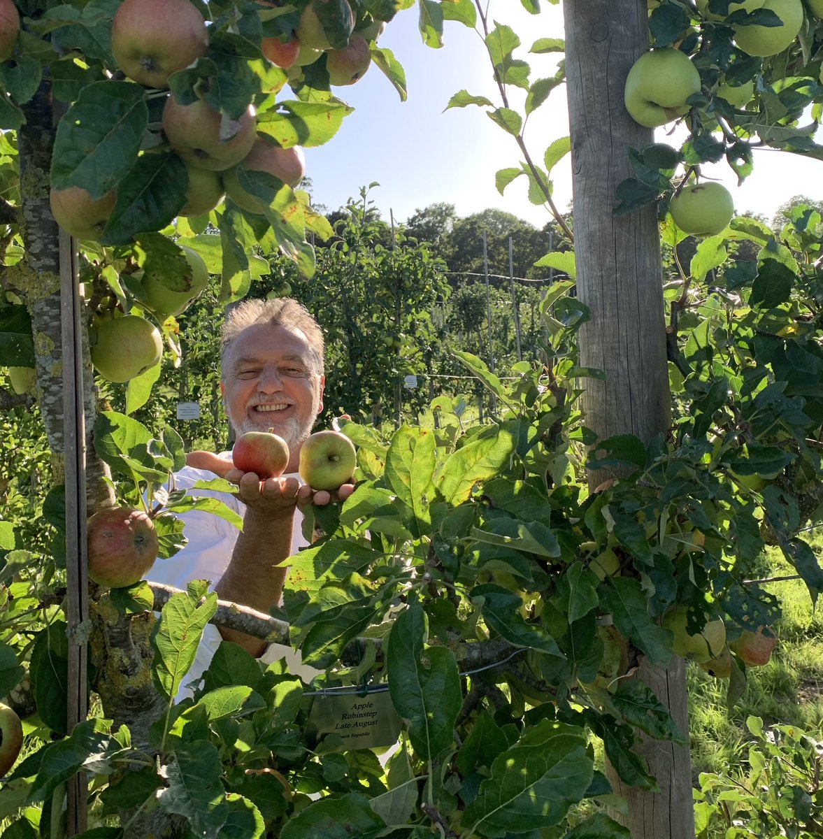 DanSaladinoUK's tweet photo. A hugely optimistic listen care of a man full of joy and imagination. Listen to @raymond_blanc on Sunday’s @BBCFoodProg talking with me about the importance of diversity &amp; apples (his life story through 5 varieties) ‘I’m not asking you to plant a tree, I am begging you.’ he says. https://t.co/TwfFHHkfHe