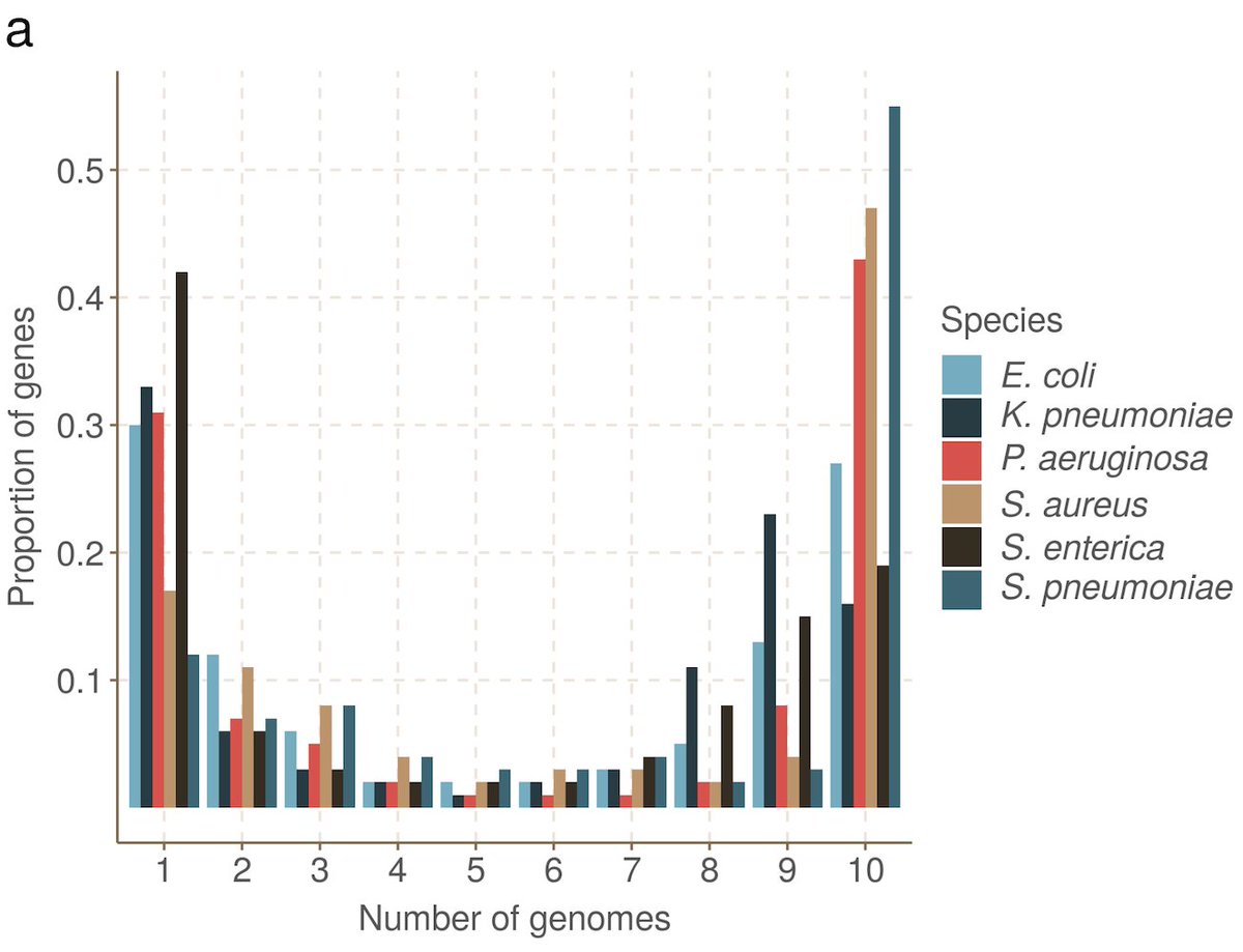 Bacterial genomes are gene-rich (>80%), and follow a universal U-shaped gene frequency distribution - genes tend to be rare or common. There's a core genome shared by most, and a pool or rare and transient genes moving in and out of the population.  5/n