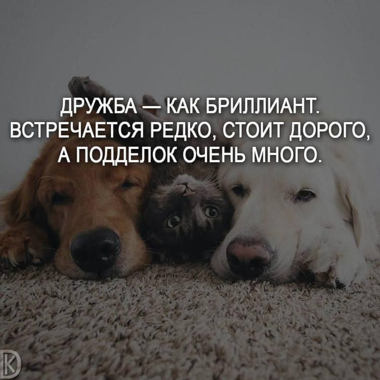 Письма Добра. Коллекция картинок о добре и милосердии 
 
Книги "Письма Добра" в электронном виде delodobroe.ru/books/ 
 
#Доброедело #Доброе_дело #Письмадобра #Письма_добра