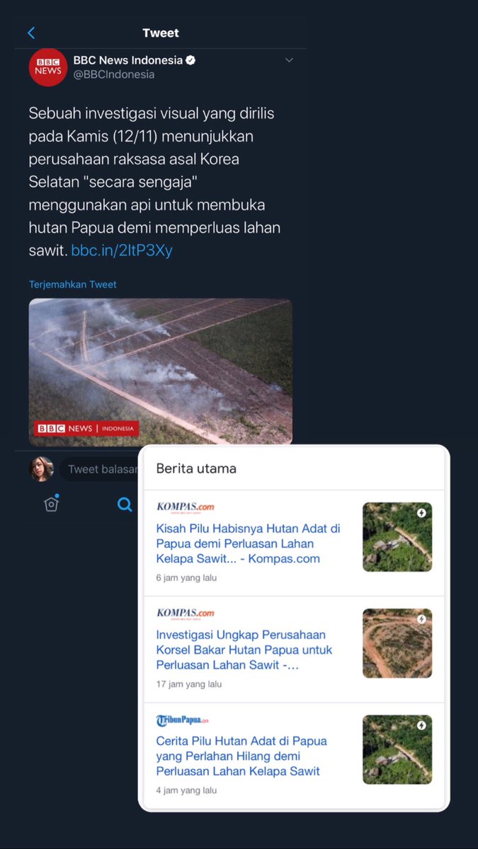 rina_tri12's tweet photo. #SavePapuaForest https://t.co/f4x40EgLne