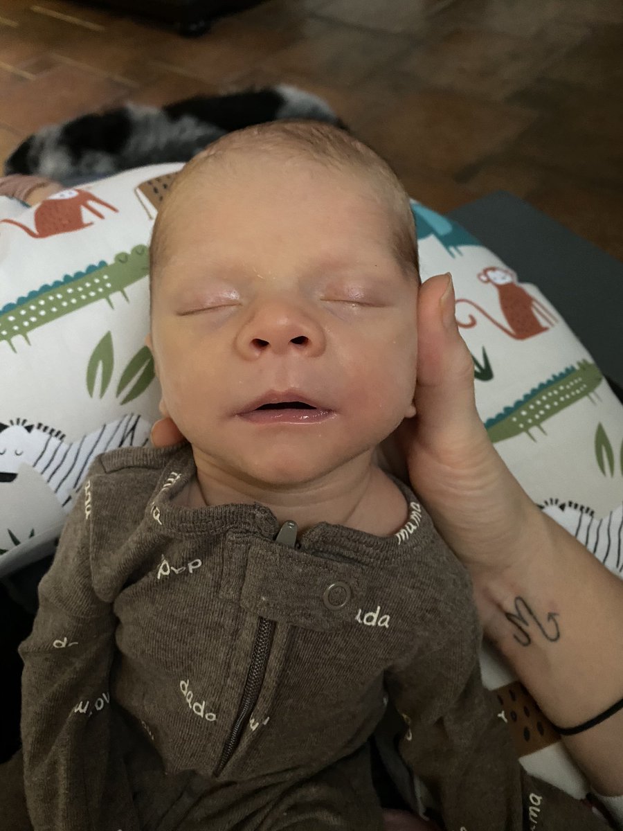 BGrandkid's tweet photo. Itβs my birthday π§‘βοΈ Iβm way too tired to care. Definitely wonβt be celebrating, but Iβd LOVE to sleep. #newmom #3weekold https://t.co/igfs2MhAHT