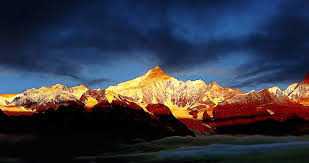 golankin06 tweet picture