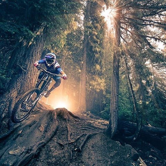 MTBDating's tweet image. Do you like root systems? I like the challenge! 💯

MTBDating.com

#mtb #mountainbiking #mountainbike #mountainbiker #mountainbikers