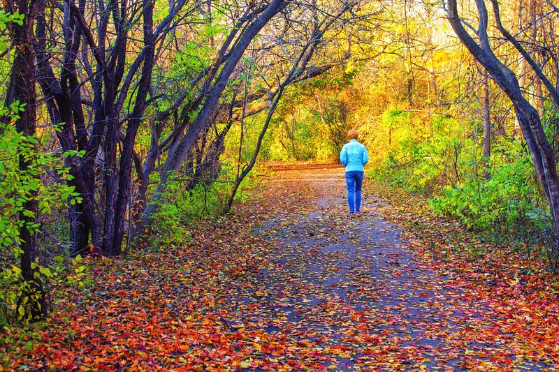 We hope that sharing successes during the current challenging times will provide continued energy and enthusiasm to all practitioners to further clients’ progress in their rehabilitation journey bit.ly/2IwbSdc