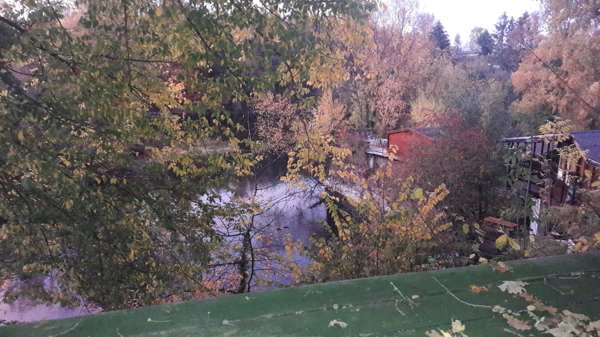 MeMusics's tweet image. View from my bedroom ♥️ #Autumn  #QuietPlace