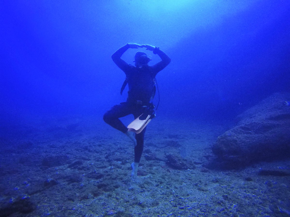 philebo73's tweet image. Tech dive is not clumsy

SCUBALLET youtu.be/ug_kNUaUlgk via @YouTube

#techdive #jjccr #rebreather #ballet #pirouette