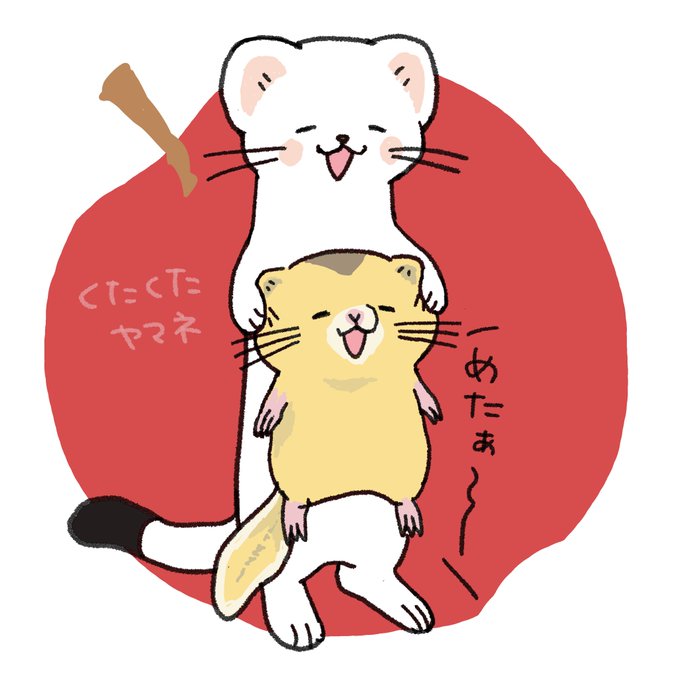 注目 画像ツイート オコジョとヤマネ 2ページ目 アニメレーダー 注目 画像ツイート オコジョとヤマネ 2ページ目 アニメレーダー