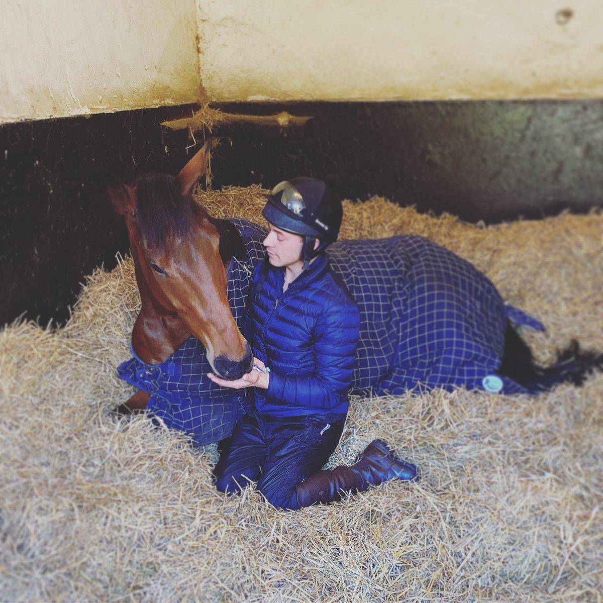 andytllewellyn's tweet photo. Me & Steve ๐ #severano #favourite #winner https://t.co/YmCS7w0Jmw