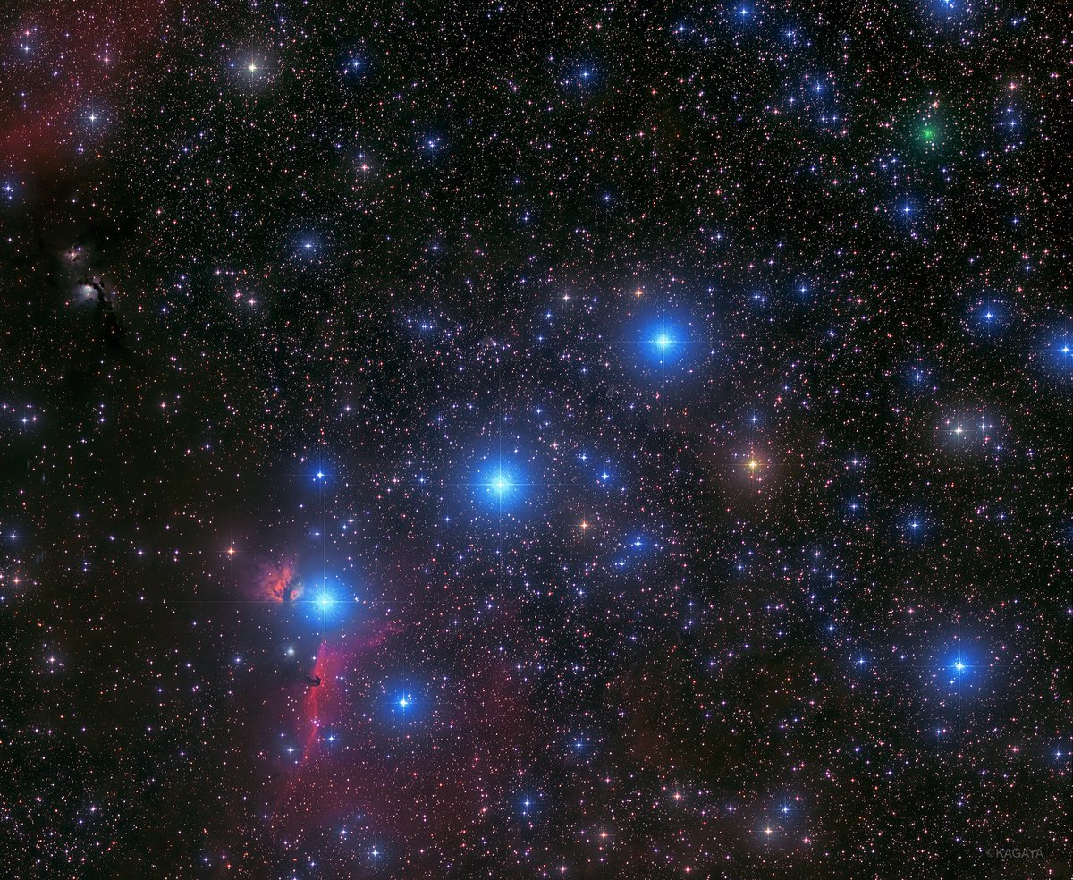 Kagaya オリオンの三ッ星 昨日未明 オリオン座の中央に並ぶ3つの星を望遠レンズで撮りました 天体専用カメラで長時間光を集め 肉眼では見えない淡い星雲の姿も写っています 写真右上には通過中のアトラス彗星も緑色に写っています 肉眼では見えません