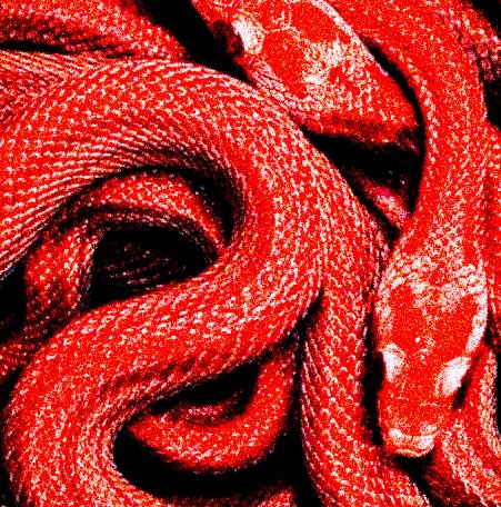 ˙ 𓊪̳ᚐ  $JENNIE  /G⃠╸ners 𓈒 ˙ ᚕ𓏸 ลฟตท ᚇ