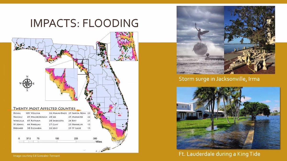 flgullahgeechee's tweet photo. Exercise your Right to the #ParisTreaty...climatechange is a comin'...right down the #REDLINE. https://t.co/8Dud9I4hB7
