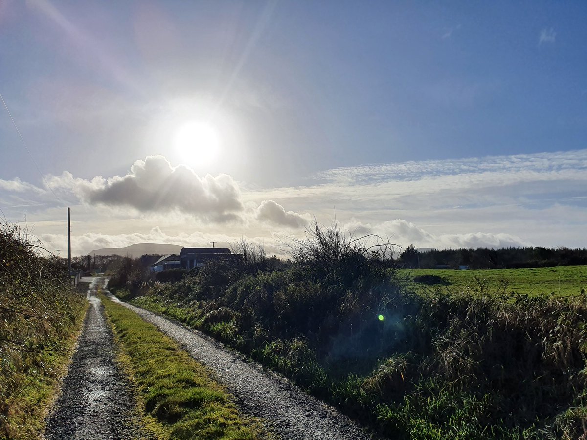 lyn_foley's tweet photo. Day 319 of #100daysofwalking #365daysofwalking #walkingthroughthecrisis #WalkingThroughLockdown2 #5kmfromhome #Sligo #Ireland https://t.co/xVGhtgLuYn