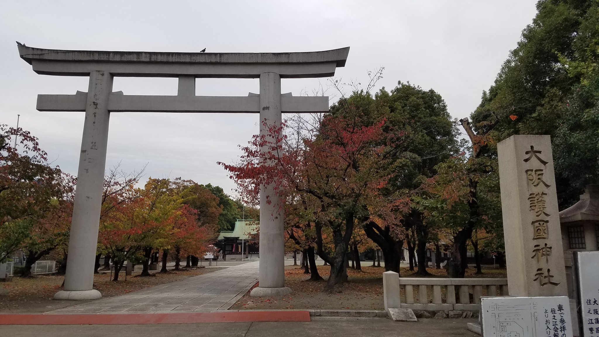ガイ 黒猫あつめ 大阪護国神社 大阪市住之江区 御祭神 英霊10万5千 住之江公園の横 住之江ボートの横にあります 護国神社らしい 静かで広い敷地にごさいます 神社内の紅葉がきれいでした 御朱印 御朱印巡り T Co T3xvbiluht Twitter
