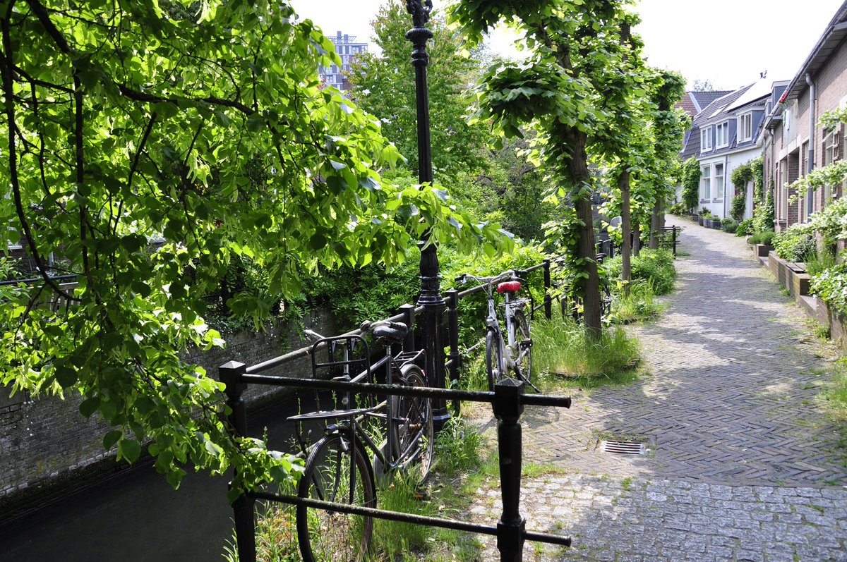 Dit vind ik altijd zo'n prachtig groen straatje in Utrecht!
#Keizersgracht
