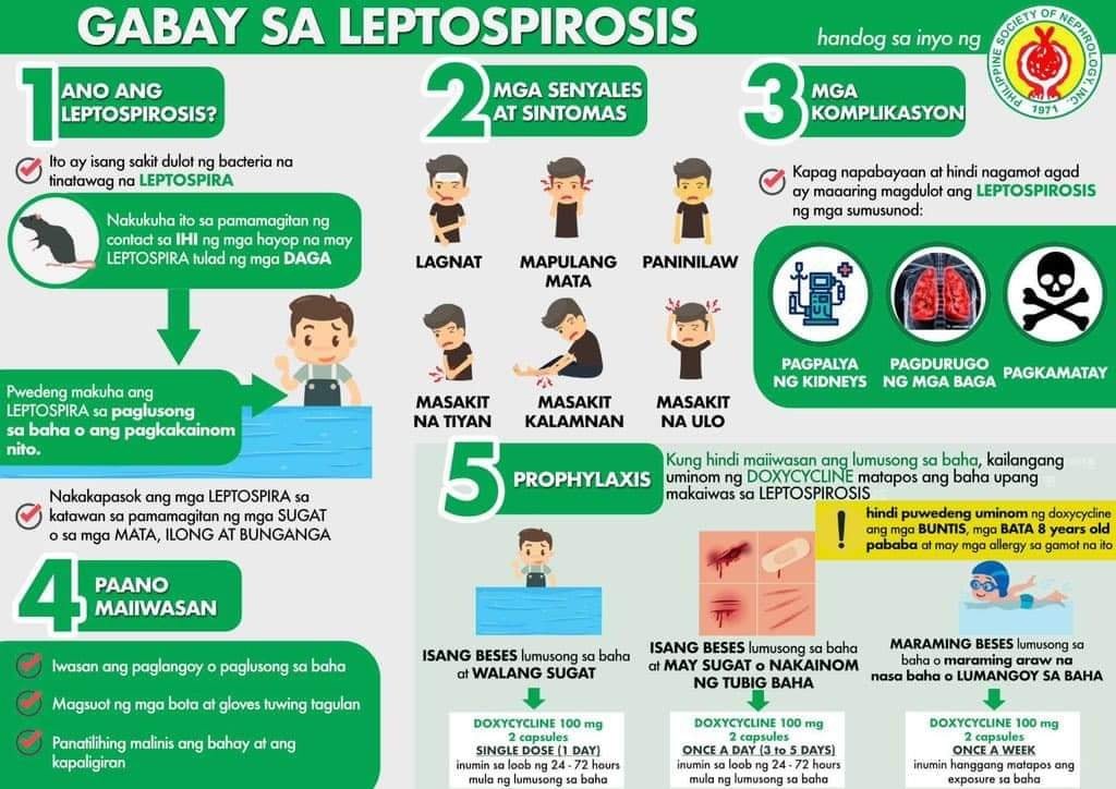medstudentsPH's tweet photo. From the Philippine Society of Nephrology https://t.co/7qT0eP0Q79