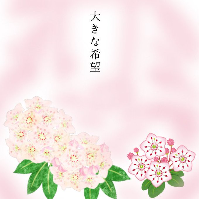 カルミアのtwitterイラスト検索結果 古い順
