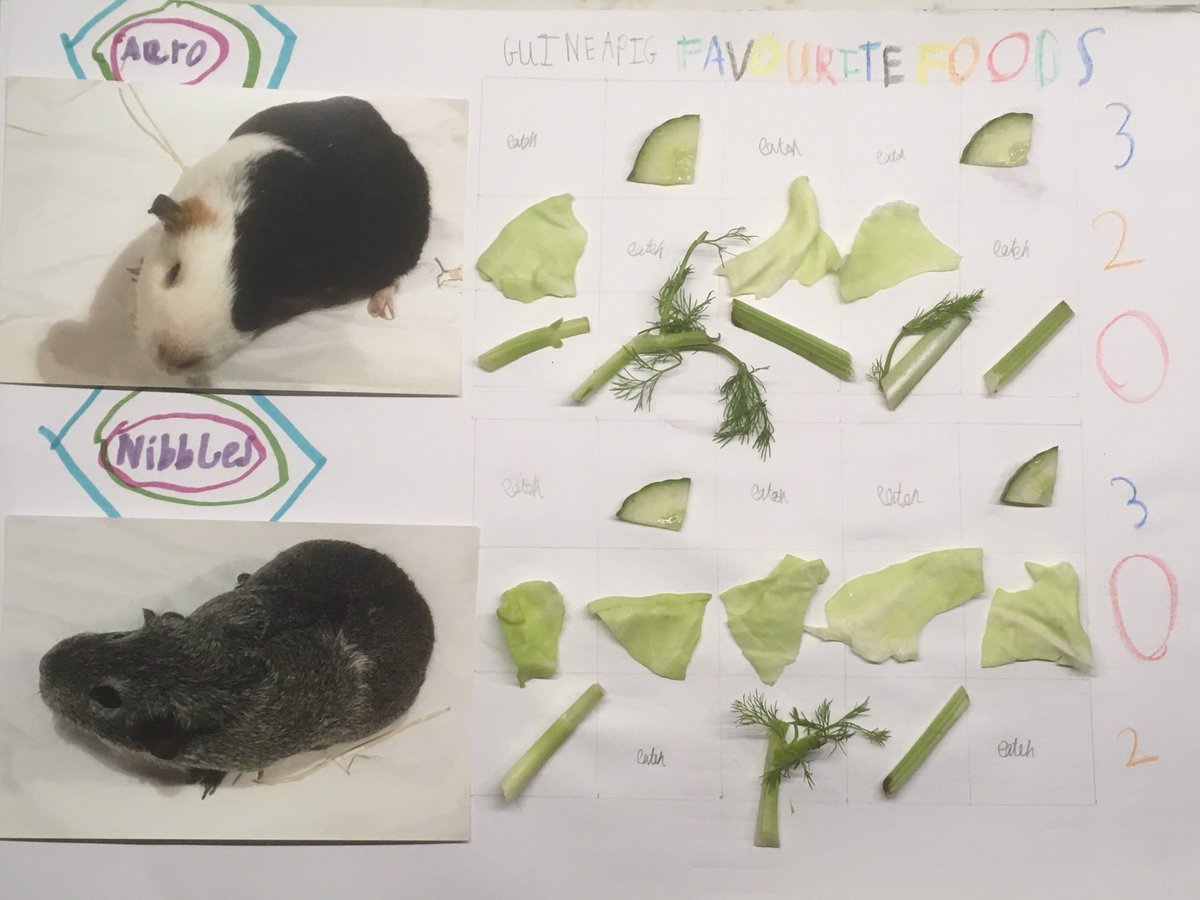 We love these adorable pet themed charts from Leo (7) and Lara (8) 