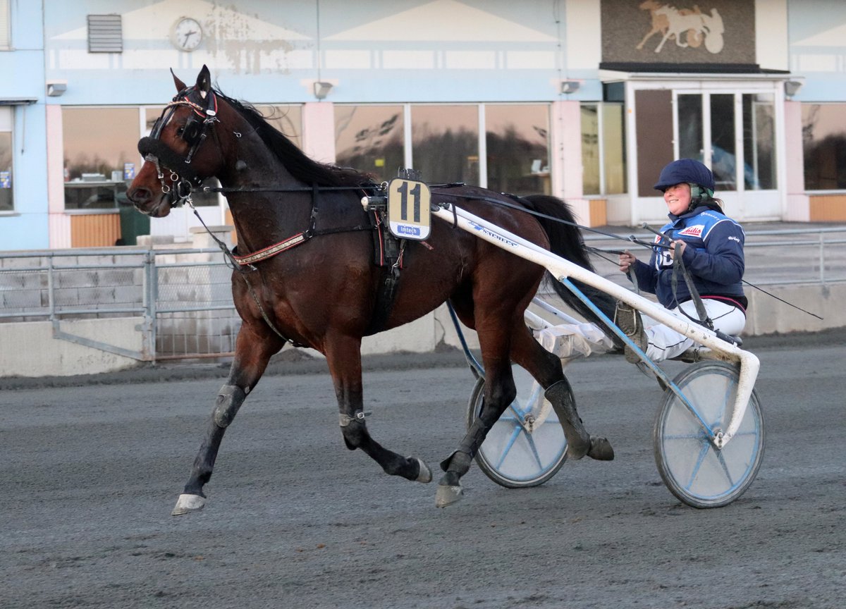 Hallå där... Lisa Mannberg som gör kuskdebut bakom stallets Brooklyn Hill på lördag!

bodentravet.com/sport/nyheter/…