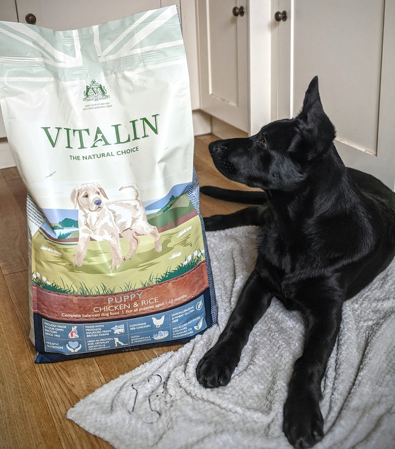 Vitalin Dog Food Stockists 2025